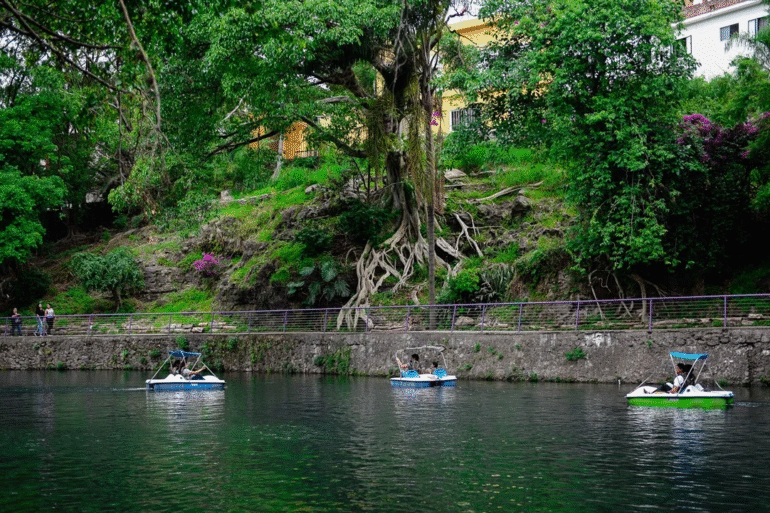 Cierran temporalmente el lago del Parque Chapultepec por labores de saneamiento 33 image 6