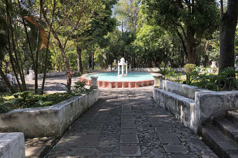 image 12
