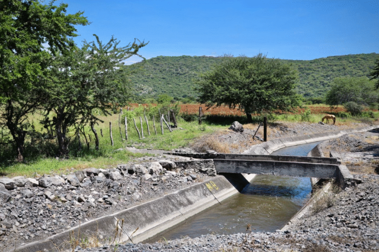 Rehabilitarán canales de riego en el sur de Morelos con inversión federal 32 image 2