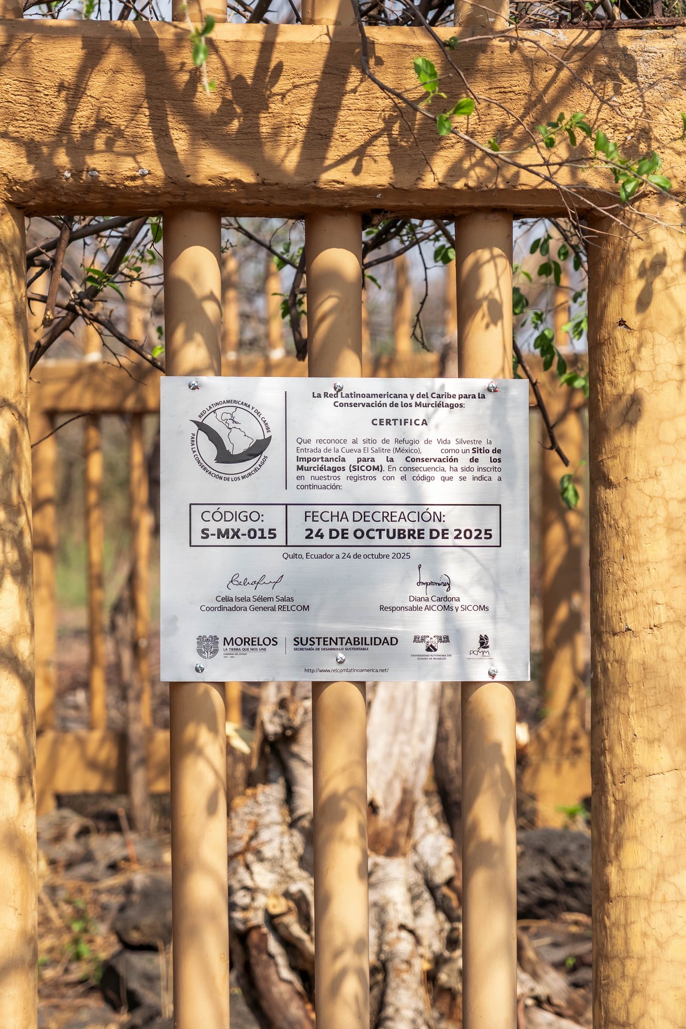 Cueva El Salitre en Morelos recibe reconocimiento internacional por su importancia en la conservación de murciélagos 31 image 14