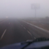 Caída de árbol, lluvia y neblina provocan severo congestionamiento en la autopista México-Cuernavaca