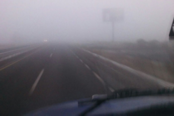 Caída de árbol, lluvia y neblina provocan severo congestionamiento en la autopista México-Cuernavaca
