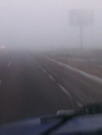 Caída de árbol, lluvia y neblina provocan severo congestionamiento en la autopista México-Cuernavaca