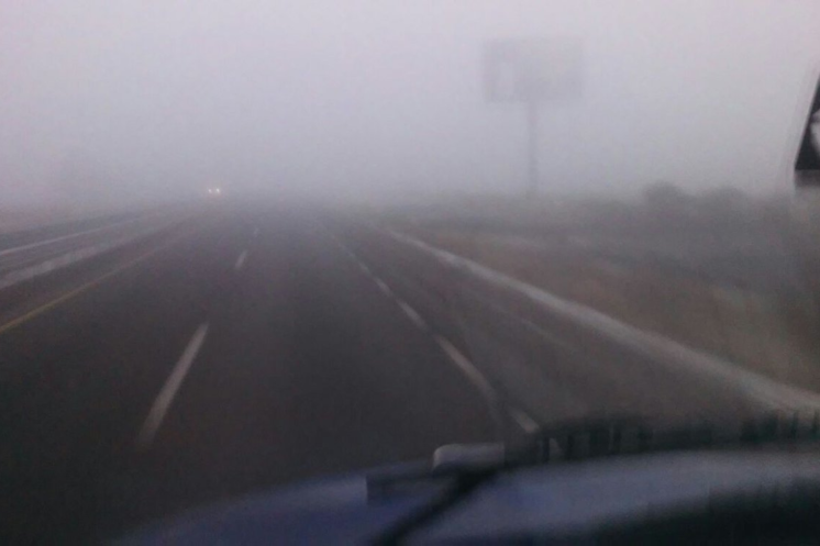 Caída de árbol, lluvia y neblina provocan severo congestionamiento en la autopista México-Cuernavaca