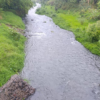 Gobierno de Morelos reporta avances en el rescate del Río Cuautla; atenderán el 100% de las descargas detectadas
