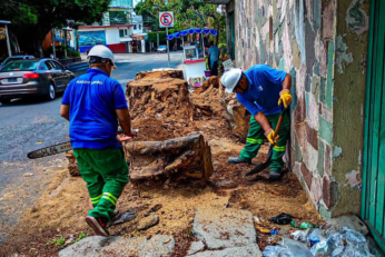 Retiran restos de árbol y recuperan espacio público en la colonia Miraval de Cuernavaca 4 Retiran restos de árbol y recuperan espacio público en la colonia Miraval de Cuernavaca