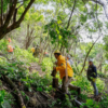 Participantes en la jornada de reforestación plantan árboles nativos en el paraje La Herradura, dentro del Bosque de Agua, en Cuernavaca.