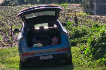 Localizan a una mujer sin vida en un terreno baldío de Ayala 3 Elementos de la Fiscalía Regional Oriente realizan diligencias en el lugar donde fue localizada una mujer sin vida en Tlayecac, Ayala.
