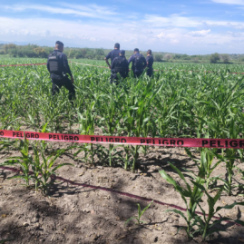 Operativo de búsqueda de un paracaidista colombiano localizado sin vida en San José Vista Hermosa, Morelos.