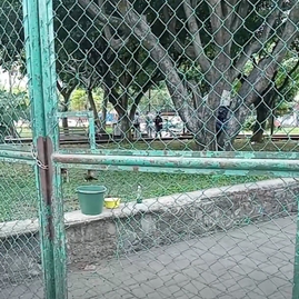 Autoridades resguardan las inmediaciones del parque Cri Cri de Cuernavaca tras la localización de una mujer sin vida.