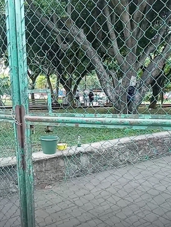 Autoridades resguardan las inmediaciones del parque Cri Cri de Cuernavaca tras la localización de una mujer sin vida.