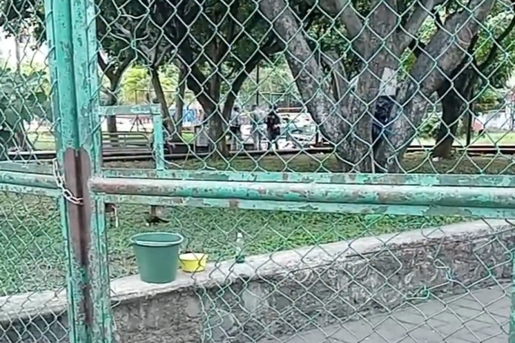 Autoridades resguardan las inmediaciones del parque Cri Cri de Cuernavaca tras la localización de una mujer sin vida.