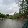 Lluvias en Cuernavaca dejan inundaciones y daños en casas