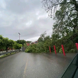 Lluvias en Cuernavaca dejan inundaciones y daños en casas
