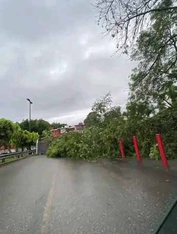 Lluvias en Cuernavaca dejan inundaciones y daños en casas