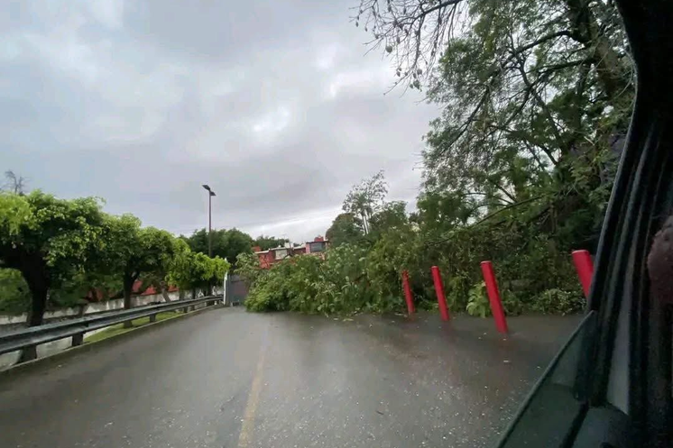 Lluvias en Cuernavaca dejan inundaciones y daños en casas