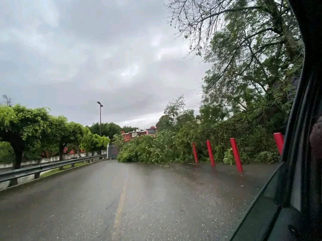 Fuertes lluvias provocan desbordamiento de barranca, inundaciones y daños en Cuernavaca 34 Lluvias en Cuernavaca dejan inundaciones y daños en casas